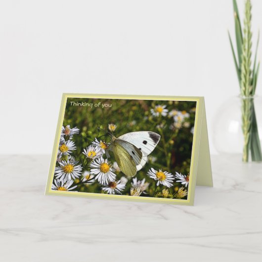 忌引き/紛失カード付き引用文 カード (正面)