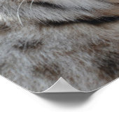 忍び寄るボブカ ポスター (角)