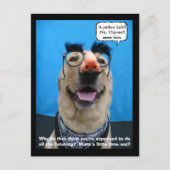 忍び込む ポストカード (正面)