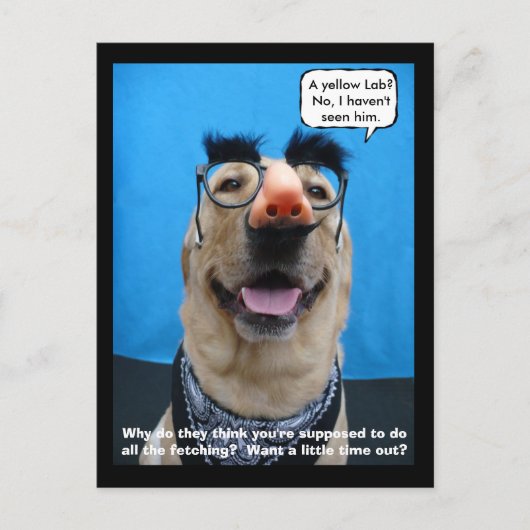 忍び込む ポストカード (正面)