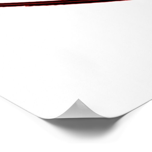 忍者何？ ポスター (角)