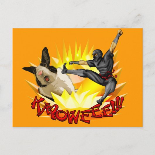 忍者対バニー葉書(?!?) ポストカード (正面)