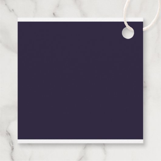 忍者映画スターウォリアーそれを蹴る空手パーティー フェイバータグ (裏面)