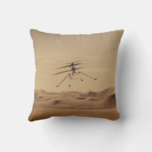 忍耐が火星 クッション (裏面)