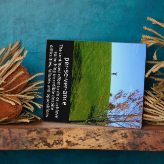 忍耐の定義写真 フォトプラーク