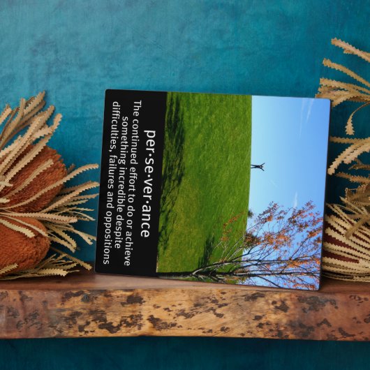 忍耐の定義写真 フォトプラーク (側面)