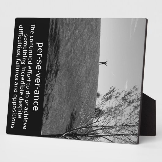 忍耐の定義 フォトプラーク (側面)