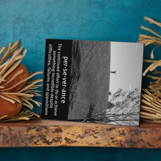 忍耐の定義 フォトプラーク (側面)