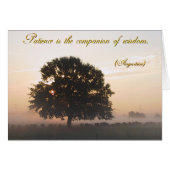 忍耐は知恵の連れ (正面横)