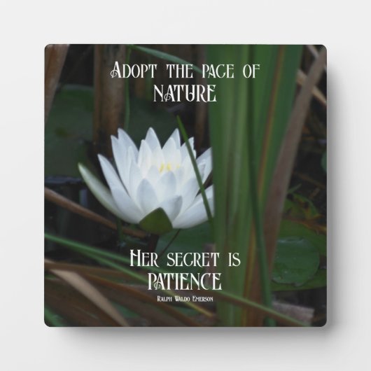 忍耐エマーソン感動的引用文ロータス フォトプラーク (正面)