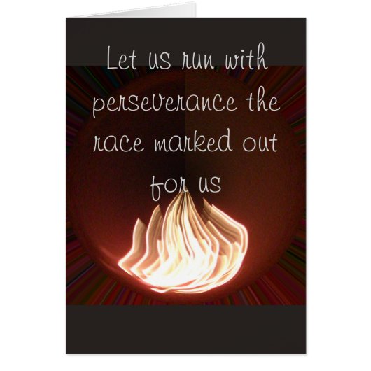 忍耐カー走ド付きハクナマタタ (正面)