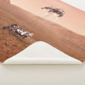 忍耐ローバーは無事に火星に着陸した。 シェルパブランケット (3/4)