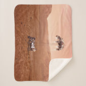 忍耐ローバーは無事に火星に着陸した。 シェルパブランケット (正面)