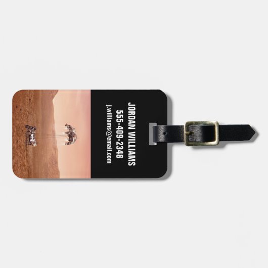 忍耐ローバーは無事に火星に着陸した。 ラゲッジタグ (正面横)