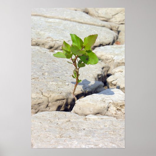 忍耐力 ポスター (正面)