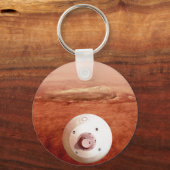 忍耐強いローバーが火星に降下するエアロシェル キーホルダー (正面)