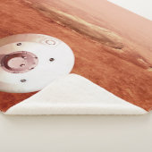 忍耐強いローバーが火星に降下するエアロシェル シェルパブランケット (3/4)