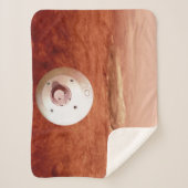 忍耐強いローバーが火星に降下するエアロシェル シェルパブランケット (正面)