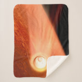 忍耐強いローバーが火星に降下するエアロシェル シェルパブランケット (正面)