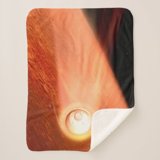 忍耐強いローバーが火星に降下するエアロシェル シェルパブランケット (正面)