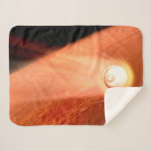 忍耐強いローバーが火星に降下するエアロシェル シェルパブランケット (正面(横))