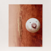 忍耐強いローバーが火星に降下するエアロシェル ジグソーパズル (縦)