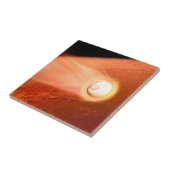 忍耐強いローバーが火星に降下するエアロシェル タイル (側面)