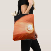 忍耐強いローバーが火星に降下するエアロシェル トートバッグ (クローズアップ)