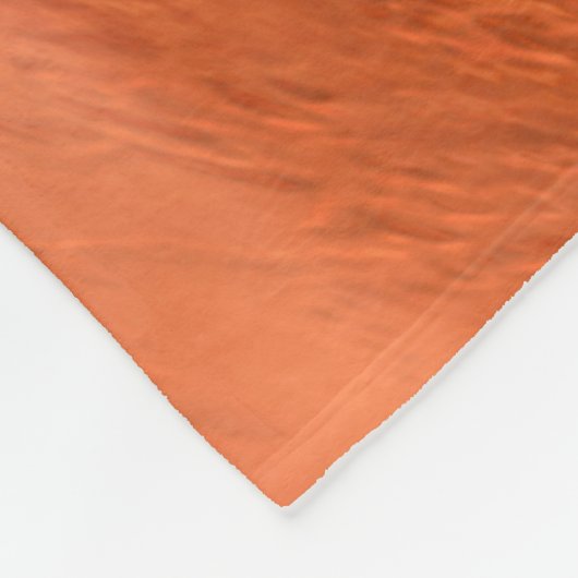 忍耐強いローバーが火星に降下するエアロシェル フリースブランケット (角)