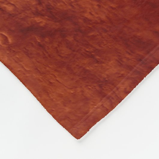 忍耐強いローバーが火星に降下するエアロシェル フリースブランケット (角)