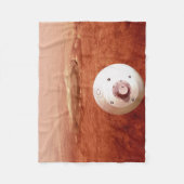 忍耐強いローバーが火星に降下するエアロシェル フリースブランケット (正面)