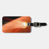 忍耐強いローバーが火星に降下するエアロシェル ラゲッジタグ (正面横)