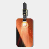 忍耐強いローバーが火星に降下するエアロシェル ラゲッジタグ (正面縦)