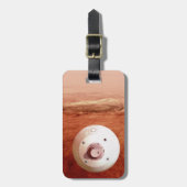 忍耐強いローバーが火星に降下するエアロシェル ラゲッジタグ (正面縦)