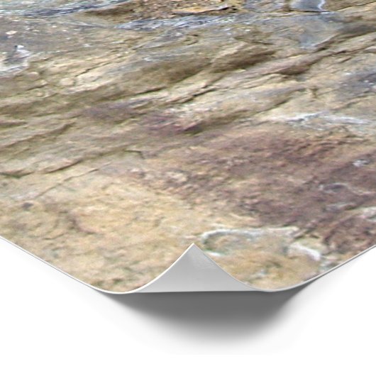 忍耐強い木 ポスター (角)