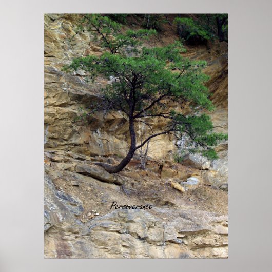 忍耐強い木 ポスター (正面)