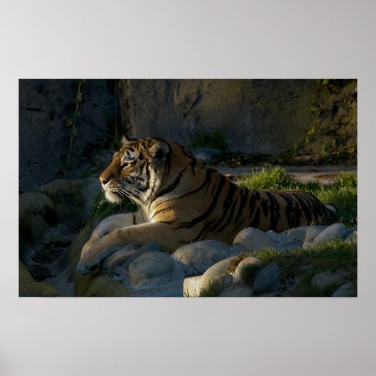 忍耐 ポスター (正面)