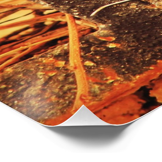 忍耐 ポスター (コーナー)