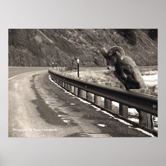 忍耐 ポスター (正面)