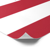 志国実在投票 ポスター (角)