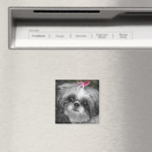 志津犬スクエアマグネット マグネット (インサイチュ (食洗機))