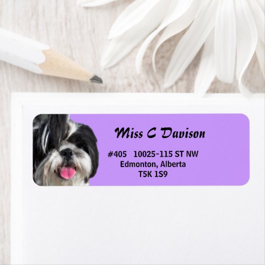 志津 ラベル (インサイチュ)