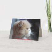 忘れてくれよ、ペルシャ猫のユーモアなんてさ カード (裏面)