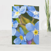忘れな草の花　ロマンティックな感謝の気持ち サンキューカード (裏面)
