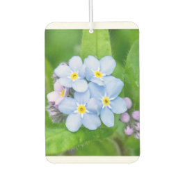 忘れの カーエアーフレッシュナー