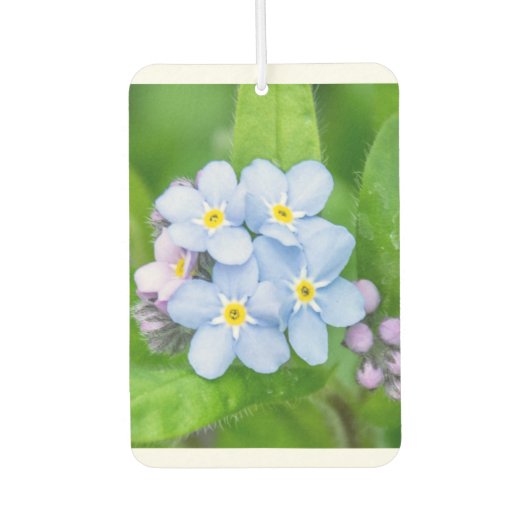 忘れの カーエアーフレッシュナー (正面)