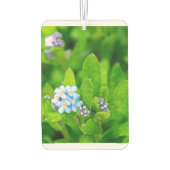 忘れの カーエアーフレッシュナー (裏面)