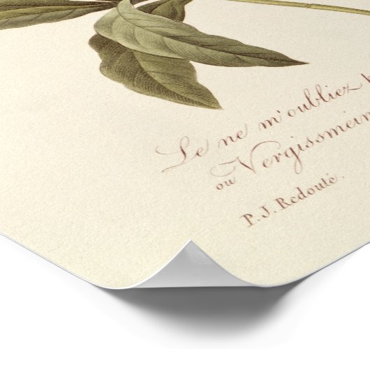 忘れの ポスター (角)