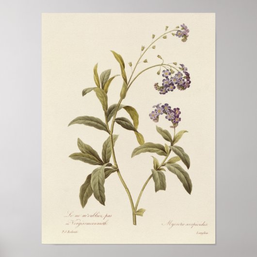 忘れの ポスター (正面)