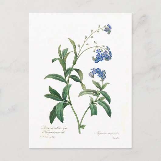 忘れの ポストカード (正面)